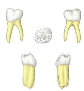 <p>?</p>