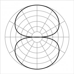 <p>Micro<span>phone that picks up sound from two opposite directions</span></p>