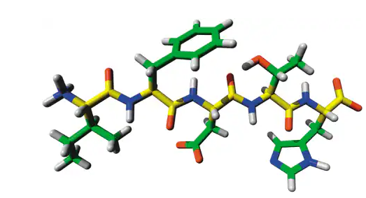 <p>main chain</p>