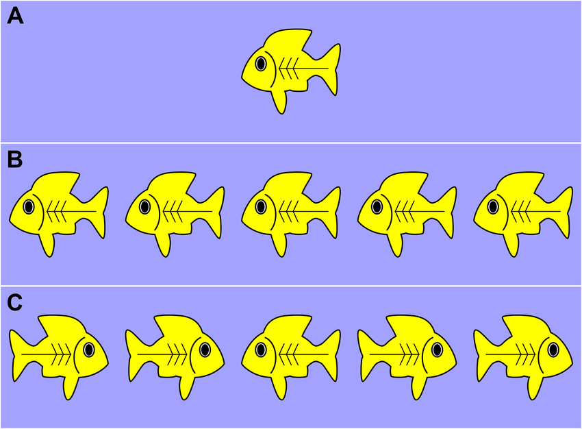 Examples of the three conditions in the flanker task. The target fish... | Download Scientific Diagram