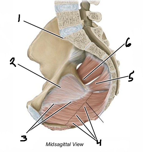 <p>2</p>
