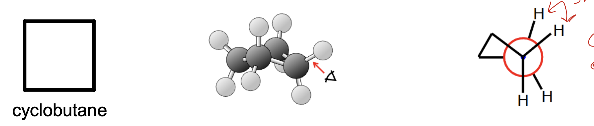 <ul><li><p>staggered (mostly ig?</p></li><li><p>90 degrees</p></li><li><p>angle strain +torsional strain</p></li></ul><p></p>