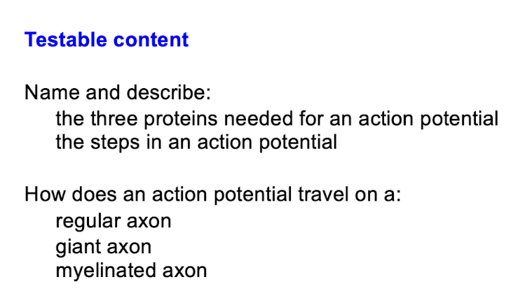<p>Examinable Content</p>