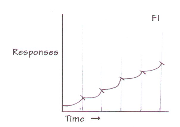 <p>Fixed Interval (FI)</p>