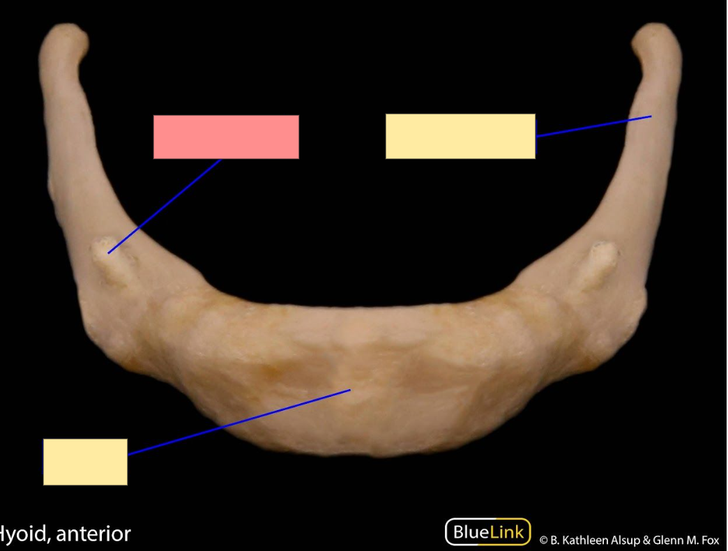 <p>Name the structure</p>