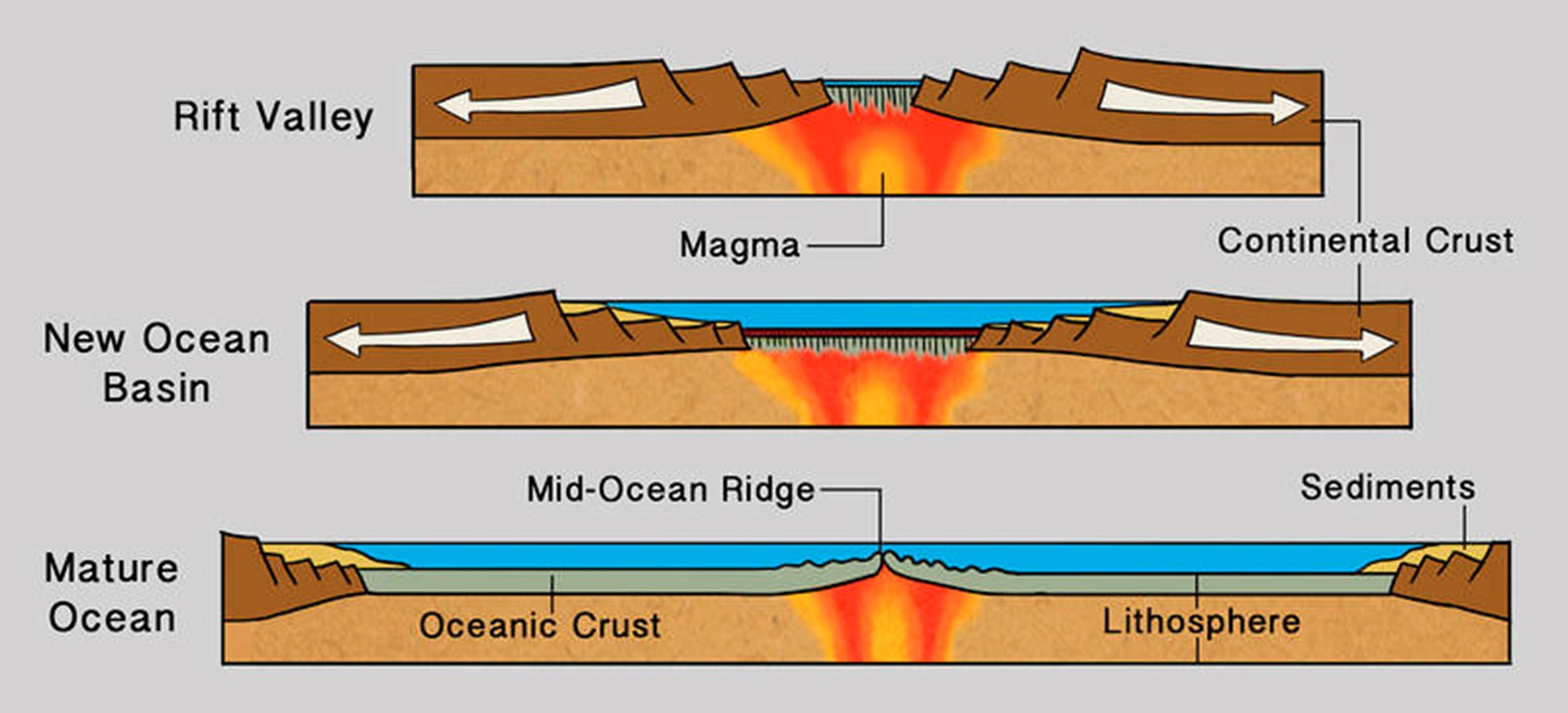 <p><span>Divergent boundary</span></p>