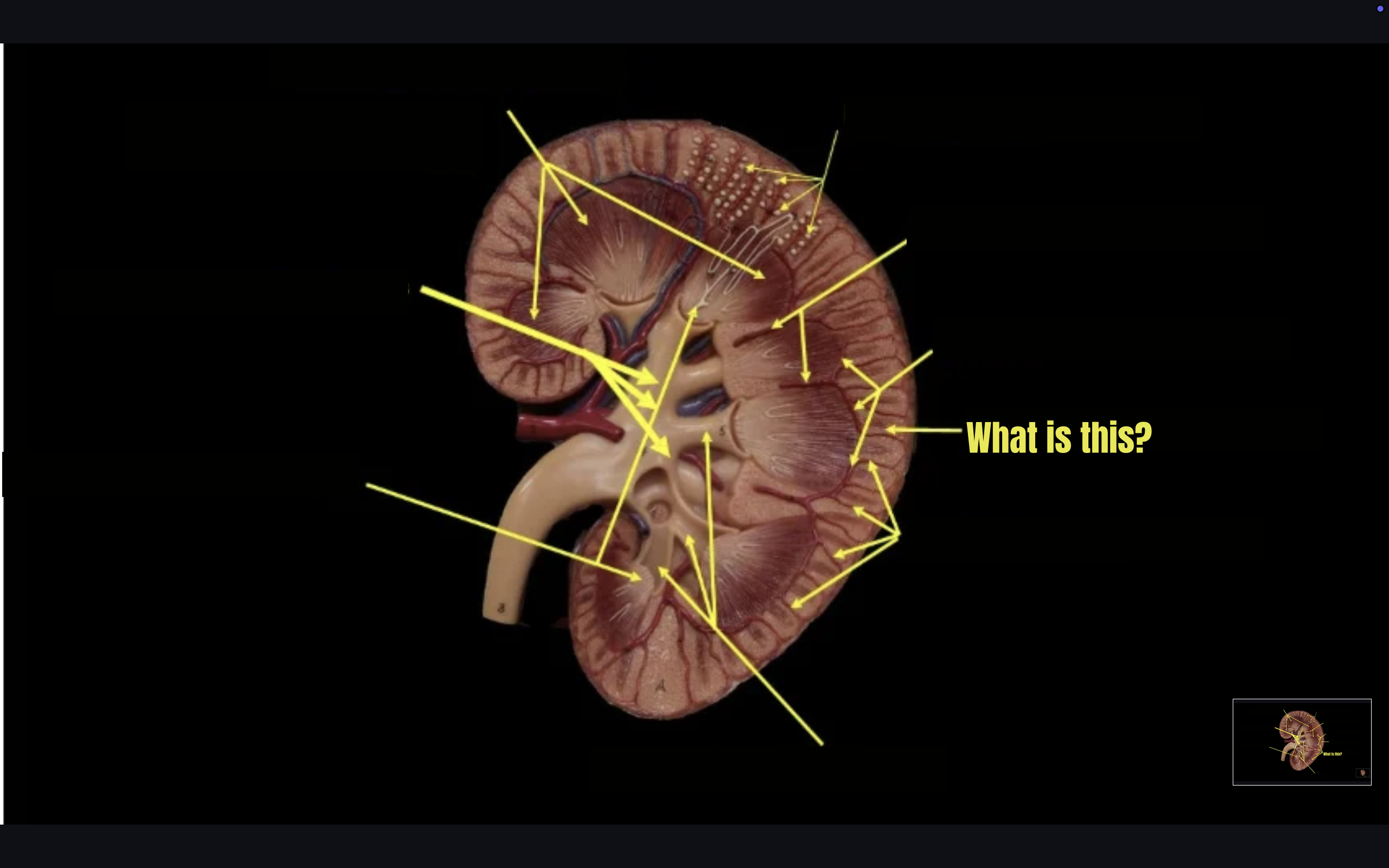 term image