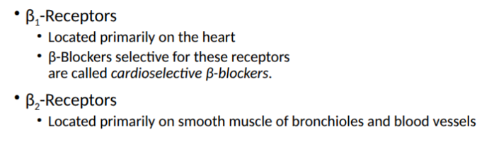 <ul><li><p>block stimulation of B receptors in SNS</p></li><li><p>compete with norepinephrine and epinephrine</p></li><li><p>selective or nonselective</p><ul><li><p>act on B1- called cardioselective</p></li><li><p>nonselective work on b1 and b2</p></li></ul></li></ul><p></p>