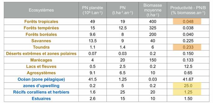 <p>Certains écosystèmes ont une productivité très faible :</p><ul><li><p>Déserts extrêmes et zones polaires : environ 0,03 t·ha⁻¹·an⁻¹</p></li><li><p>Toundra : environ 1,4 t·ha⁻¹·an⁻¹</p></li></ul><p>Cette faible productivité s’explique par des conditions environnementales défavorables : manque d’eau dans les déserts, températures très basses dans les zones polaires, saison de croissance très courte, faible activité biologique.</p>