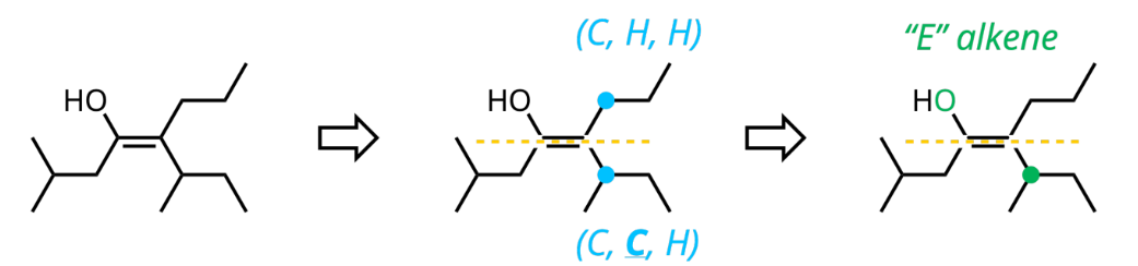 <p>If both atoms attached to one side of the alkene are identical, we assign priority by comparing the elements directly bonded to the atoms that are tied. We keep doing this until the first point of difference.</p>