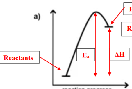 <p>reactants </p>