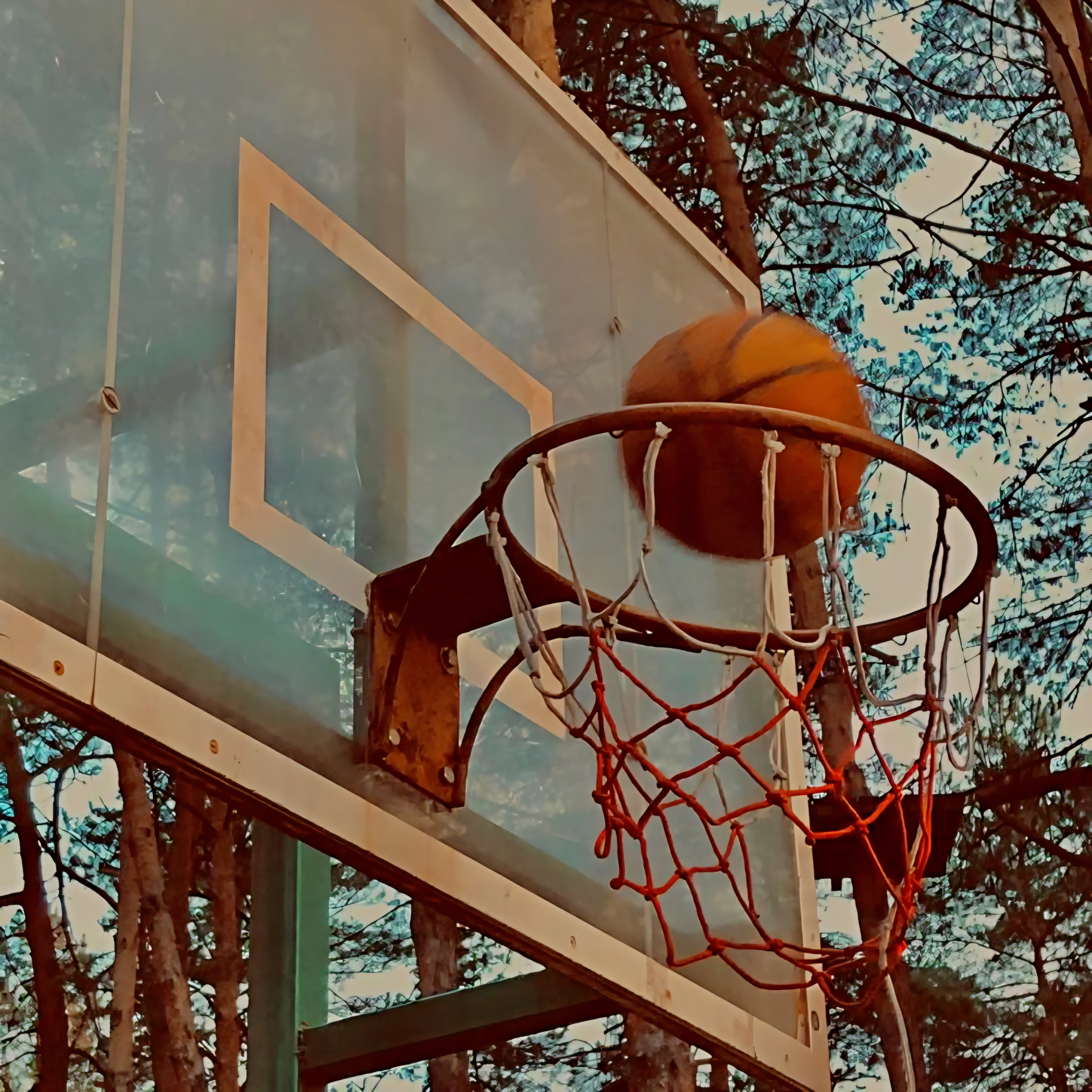 <p>Basketball</p>