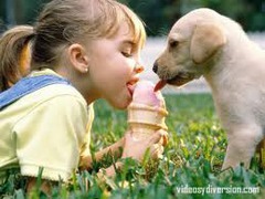 <p>compartir</p>