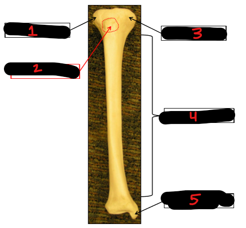 <p>5</p>