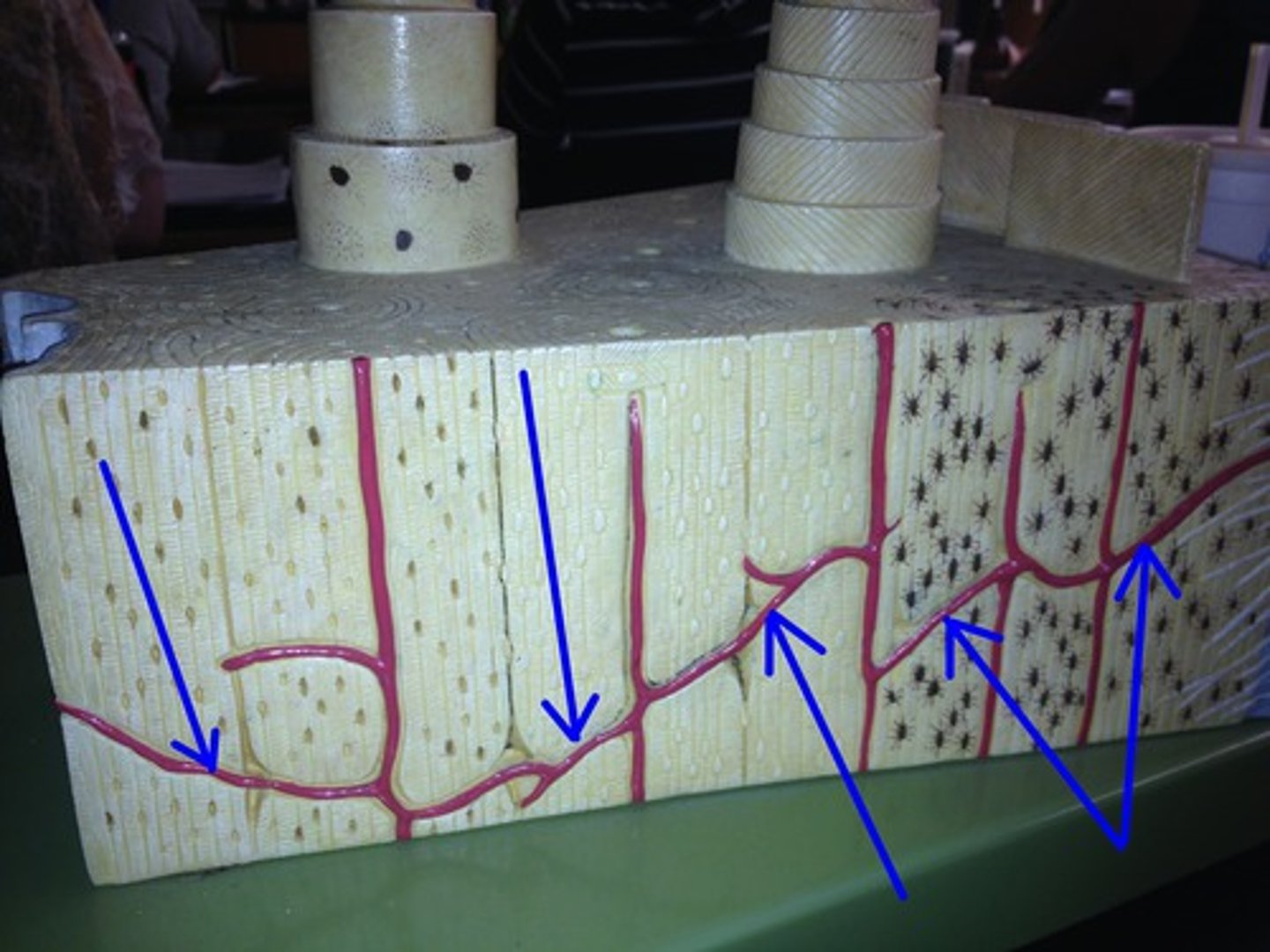 <p>type of structure?</p>