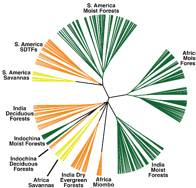 <p>What are biomes:</p>