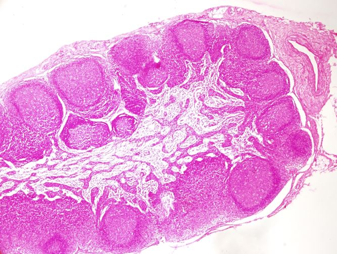 <p>Cơ quan gì ?</p>