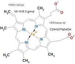 <p>Composed of protoporphyrin IX ring and an iron (Fe) ion.</p>