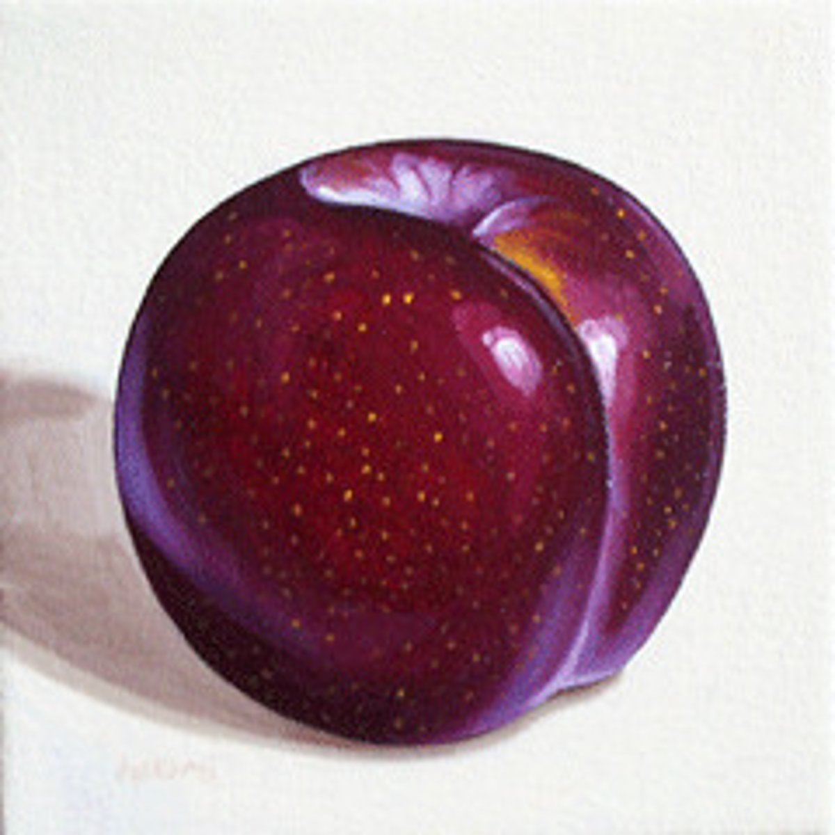 <p>une prune</p>