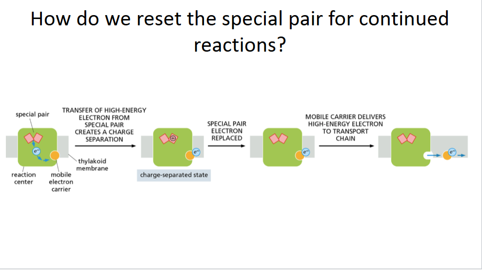 <p>How do we reset the special pair for continued reactions?</p>