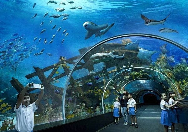 <p>aquarium [<span><span>əˈkweəriəm]</span></span></p>