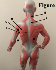 <p>what is E?</p>