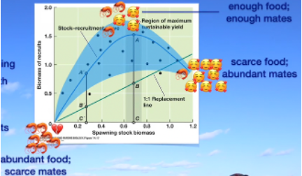 <ul><li><p><span>MSY: how much fish can we take out of the ocean sustainably?</span></p></li></ul><p class="MsoListParagraphCxSpMiddle"><span style="font-family: "Courier New";">o</span><span style="font-family: "Times New Roman"; line-height: normal; font-size: 7pt;">&nbsp;&nbsp; </span><span>Mortality must be evened out by recruitment (growth of young fish into marketable sized fish)</span></p><p class="MsoListParagraphCxSpMiddle"><span style="font-family: "Courier New";">o</span><span style="font-family: "Times New Roman"; line-height: normal; font-size: 7pt;">&nbsp;&nbsp; </span><span>To be even, recruits coming in each year must = natural deaths + caught deaths</span></p><p class="MsoListParagraphCxSpMiddle"><span style="font-family: "Courier New";">o</span><span style="font-family: "Times New Roman"; line-height: normal; font-size: 7pt;">&nbsp;&nbsp; </span><span>Ryther estimated global fisheries production to be about 240 million tons per year (1969)</span></p><p class="MsoListParagraphCxSpMiddle"><span>§</span><span style="font-family: "Times New Roman"; line-height: normal; font-size: 7pt;">&nbsp; </span><span>MSY was estimated to be 100 million tons</span></p><p class="MsoListParagraphCxSpMiddle"><span style="font-family: "Courier New";">o</span><span style="font-family: "Times New Roman"; line-height: normal; font-size: 7pt;">&nbsp;&nbsp; </span><span>What we need to know: carrying capacity, recruitment, catch</span></p><p class="MsoListParagraphCxSpMiddle"><span>§</span><span style="font-family: "Times New Roman"; line-height: normal; font-size: 7pt;">&nbsp; </span><span>What we don’t know: carrying capacity, recruitment, catch</span></p><p class="MsoListParagraphCxSpLast"><span>§</span><span style="font-family: "Times New Roman"; line-height: normal; font-size: 7pt;">&nbsp; </span><span>This is why it is so difficult to implement MSY in practice</span></p><ul><li><p class="MsoListParagraphCxSpLast"><span>The idea</span></p></li></ul><p class="MsoListParagraphCxSpMiddle"><span style="font-family: "Courier New";">o</span><span style="font-family: "Times New Roman"; line-height: normal; font-size: 7pt;">&nbsp;&nbsp; </span><span>We, by fishing, reduce the population of fish by fishing</span></p><p class="MsoListParagraphCxSpMiddle"><span style="font-family: "Courier New";">o</span><span style="font-family: "Times New Roman"; line-height: normal; font-size: 7pt;">&nbsp;&nbsp; </span><span>This improves the growth conditions for recruits, therefore the # of recruitments increase, and we can catch extra recruits sustainably</span></p><p class="MsoListParagraphCxSpMiddle"><span style="font-family: "Courier New";">o</span><span style="font-family: "Times New Roman"; line-height: normal; font-size: 7pt;">&nbsp;&nbsp;</span><span>Smallest population size=</span></p><p class="MsoListParagraphCxSpMiddle"><span>§</span><span style="font-family: "Times New Roman"; line-height: normal; font-size: 7pt;">&nbsp; </span><span>Plenty of food, scarce mates</span></p><p class="MsoListParagraphCxSpMiddle"><span style="font-family: "Courier New";">o</span><span style="font-family: "Times New Roman"; line-height: normal; font-size: 7pt;">&nbsp;&nbsp; </span><span>Middle population size=</span></p><p class="MsoListParagraphCxSpMiddle"><span>§</span><span style="font-family: "Times New Roman"; line-height: normal; font-size: 7pt;">&nbsp; </span><span>Enough food, enough mates</span></p><p class="MsoListParagraphCxSpMiddle"><span style="font-family: "Courier New";">o</span><span style="font-family: "Times New Roman"; line-height: normal; font-size: 7pt;">&nbsp;&nbsp; </span><span>Largest population size=</span></p><p class="MsoListParagraphCxSpMiddle"><span>§</span><span style="font-family: "Times New Roman"; line-height: normal; font-size: 7pt;">&nbsp; </span><span>Scarce food, plenty of mates</span></p><ul><li><p class="MsoListParagraphCxSpLast"><span>Peak recruitment at intermediate stock biomass!</span></p></li><li><p class="MsoListParagraphCxSpLast"><span>Carrying capacity</span></p></li></ul><p class="MsoListParagraphCxSpMiddle"><span style="font-family: "Courier New";">o</span><span style="font-family: "Times New Roman"; line-height: normal; font-size: 7pt;">&nbsp;&nbsp; </span><span>Natural deaths are replaced by recruits (seen in a natural, ‘no fishing’ world)</span></p><p class="MsoListParagraphCxSpMiddle"><span style="font-family: "Courier New";">o</span><span style="font-family: "Times New Roman"; line-height: normal; font-size: 7pt;">&nbsp;&nbsp; </span><span>Steady state population, and fishing deaths would deplete the population</span></p><p class="MsoListParagraphCxSpMiddle"><span style="font-family: "Courier New";">o</span><span style="font-family: "Times New Roman"; line-height: normal; font-size: 7pt;">&nbsp;&nbsp; </span><span>We don’t really know what natural carrying capacity is since we’ve been fishing for decades!</span></p><p class="MsoListParagraphCxSpMiddle"><span>§</span><span style="font-family: "Times New Roman"; line-height: normal; font-size: 7pt;">&nbsp; </span><span>“catch per hundred hooks” well correlated with fish biomass, and from this, carrying capacity was able to be studied in Japanese fishing data</span></p><p class="MsoListParagraphCxSpLast"><span>§</span><span style="font-family: "Times New Roman"; line-height: normal; font-size: 7pt;">&nbsp; </span><span>Biomass in ‘virgin’ (unfished) oceans fall by 90% within a decade of fishing. This means our estimated carrying capacities is too low, and recruitment is not maximized</span></p><p class="MsoListParagraphCxSpLast"><span>-</span><span style="font-family: "Times New Roman"; line-height: normal; font-size: 7pt;">&nbsp;&nbsp;&nbsp;&nbsp;&nbsp;&nbsp;&nbsp;&nbsp;&nbsp;&nbsp;&nbsp;&nbsp;&nbsp; </span><span>MSY strategy</span></p><p class="MsoListParagraphCxSpMiddle"><span style="font-family: "Courier New";">o</span><span style="font-family: "Times New Roman"; line-height: normal; font-size: 7pt;">&nbsp;&nbsp; </span><span>Reduce the population, so that more recruits are needed to maintain carrying capacity</span></p><p class="MsoListParagraphCxSpMiddle"><span>§</span><span style="font-family: "Times New Roman"; line-height: normal; font-size: 7pt;">&nbsp; </span><span>Thus, we can catch the “extra” recruits, which leads to a smaller, but steady-state population</span></p><p class="MsoListParagraphCxSpMiddle"><span>-</span><span style="font-family: "Times New Roman"; line-height: normal; font-size: 7pt;">&nbsp;&nbsp;&nbsp;&nbsp;&nbsp;&nbsp;&nbsp;&nbsp;&nbsp;&nbsp;&nbsp;&nbsp;&nbsp; </span><span>MSY trouble</span></p><p class="MsoListParagraphCxSpMiddle"><span style="font-family: "Courier New";">o</span><span style="font-family: "Times New Roman"; line-height: normal; font-size: 7pt;">&nbsp;&nbsp; </span><span>Evidence that fisheries are not actually sustainable!</span></p><p class="MsoListParagraphCxSpMiddle"><span style="font-family: "Courier New";">o</span><span style="font-family: "Times New Roman"; line-height: normal; font-size: 7pt;">&nbsp;&nbsp; </span><span>Though global catches are near Ryther’s MSY estimate, many fish stocks are unsteady</span></p><p class="MsoListParagraphCxSpMiddle"><span>-</span><span style="font-family: "Times New Roman"; line-height: normal; font-size: 7pt;">&nbsp;&nbsp;&nbsp;&nbsp;&nbsp;&nbsp;&nbsp;&nbsp;&nbsp;&nbsp;&nbsp;&nbsp;&nbsp; </span><span>Unsteady fish stocks</span></p><p class="MsoListParagraphCxSpMiddle"><span style="font-family: "Courier New";">o</span><span style="font-family: "Times New Roman"; line-height: normal; font-size: 7pt;">&nbsp;&nbsp; </span><span>Under MSY, stocks should be relatively constant. However…</span></p><p class="MsoListParagraphCxSpMiddle"><span>§</span><span style="font-family: "Times New Roman"; line-height: normal; font-size: 7pt;">&nbsp; </span><span>Atlantic cod sow multi-decade decline</span></p><p class="MsoListParagraphCxSpLast"><span>§</span><span style="font-family: "Times New Roman"; line-height: normal; font-size: 7pt;">&nbsp; </span><span>Atlantic herring show large decadal fluctuation (ie not steady)</span></p><p class="MsoListParagraphCxSpLast"><span>-</span><span style="font-family: "Times New Roman"; line-height: normal; font-size: 7pt;">&nbsp;&nbsp;&nbsp;&nbsp;&nbsp;&nbsp;&nbsp;&nbsp;&nbsp;&nbsp;&nbsp;&nbsp;&nbsp; </span><span>Catch</span></p><p class="MsoListParagraphCxSpMiddle"><span style="font-family: "Courier New";">o</span><span style="font-family: "Times New Roman"; line-height: normal; font-size: 7pt;">&nbsp;</span><span>Reported catch, but also discarded/bycatch, and IUU (illegal, unreported, and unregulated catches)</span></p><p class="MsoListParagraphCxSpLast"><span>§</span><span style="font-family: "Times New Roman"; line-height: normal; font-size: 7pt;">&nbsp; </span><span>Reported catch has plateaued in the past 30 years, which makes us believe we are fishing sustainably. However, the total catch is showing we are not fishing sustainably.</span></p><img src="https://assets.knowt.com/user-attachments/c851aabc-7da2-4044-9f36-ae032f8d159f.png" data-width="100%" data-align="center"><p class="MsoListParagraphCxSpLast"></p>