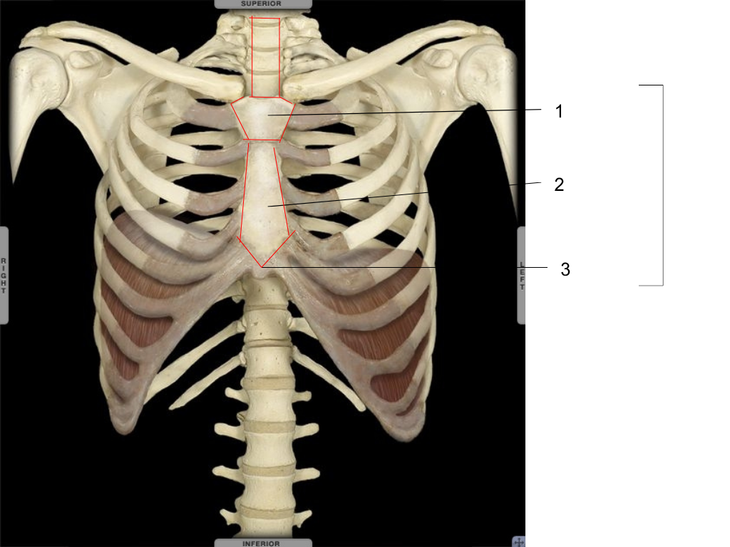 <p>what is #1 pointing at?</p>