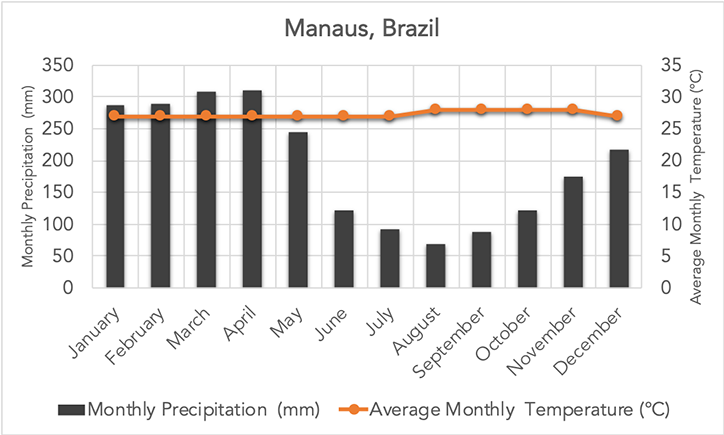 <p>humid, hot, wet</p>