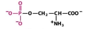 <p>What structure is this?</p>