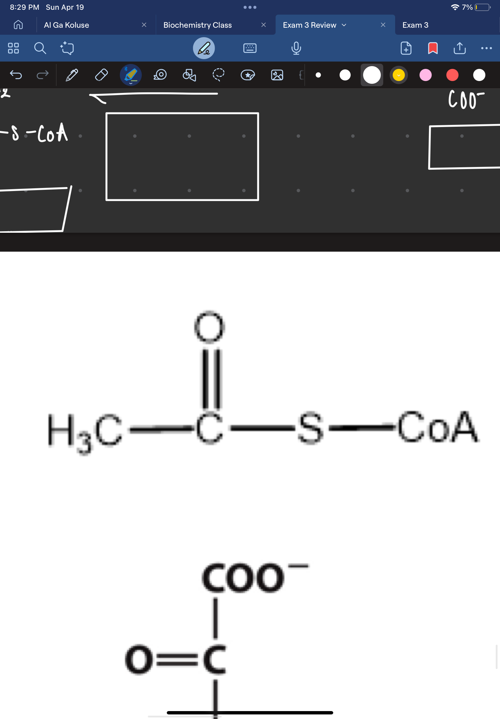 knowt flashcard image