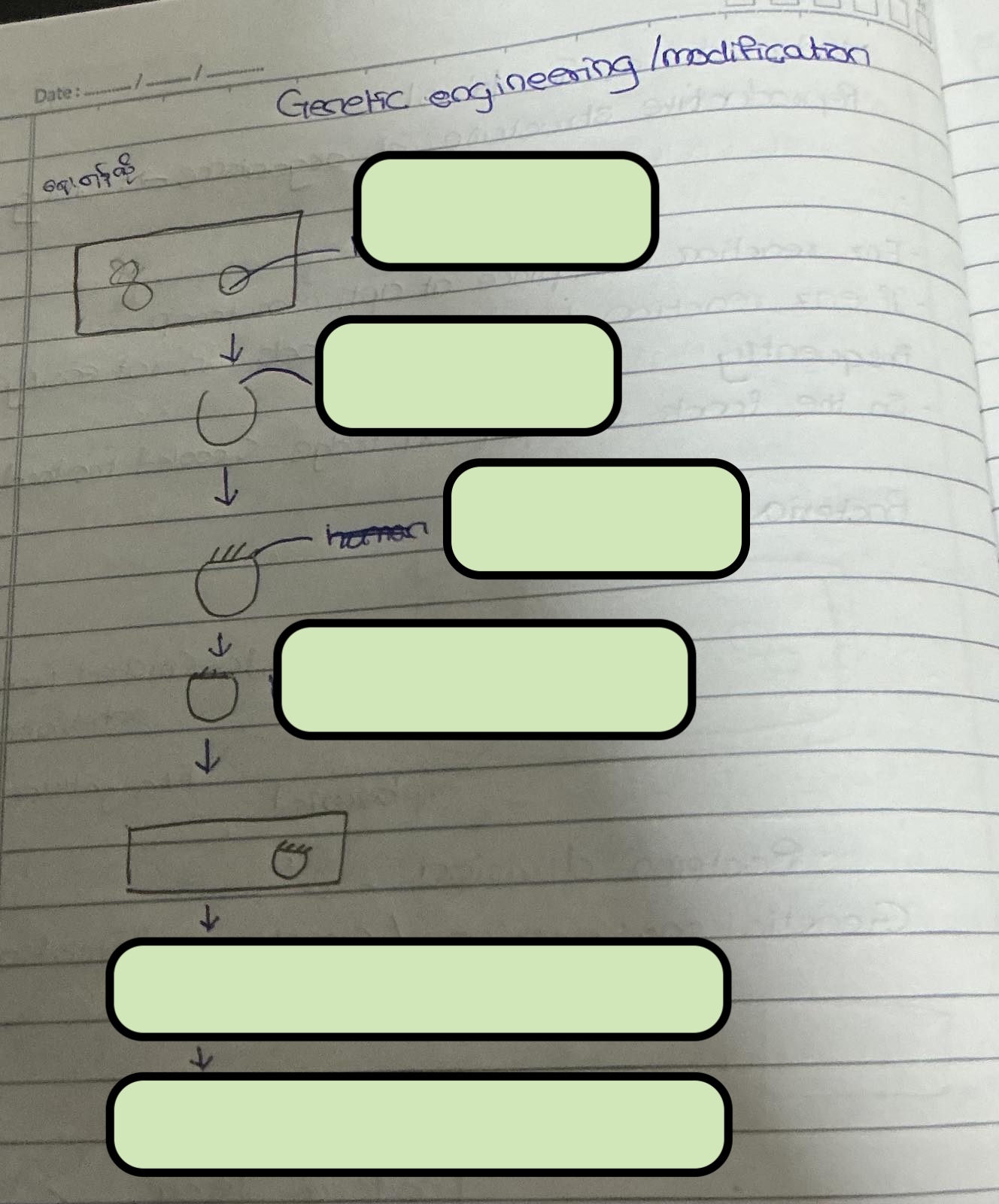 <p><span style="background-color: transparent;">Explain the steps in genetic engineering</span></p>