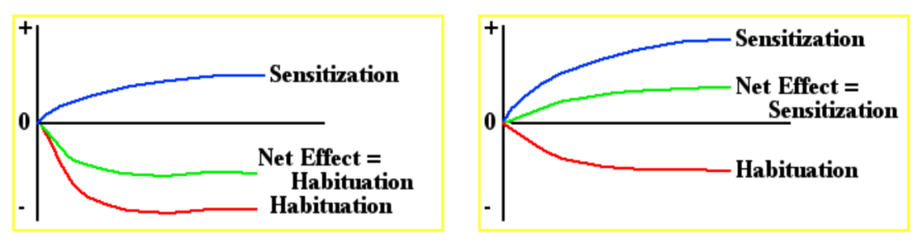 <ul><li><p><strong><mark data-color="purple" style="background-color: purple; color: inherit;">the habituation & sensitization process are not mutually exclusive </mark></strong></p></li><li><p><strong><mark data-color="purple" style="background-color: purple; color: inherit;">often both are activated at the same time </mark></strong></p></li><li><p><strong><mark data-color="purple" style="background-color: purple; color: inherit;">observable behaviour is the sum of these two processes </mark></strong></p></li></ul><p></p>