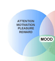 <p>neurotransmitter that regulates brain arousal and other functions like mood, memory, hunger, and sleep</p>