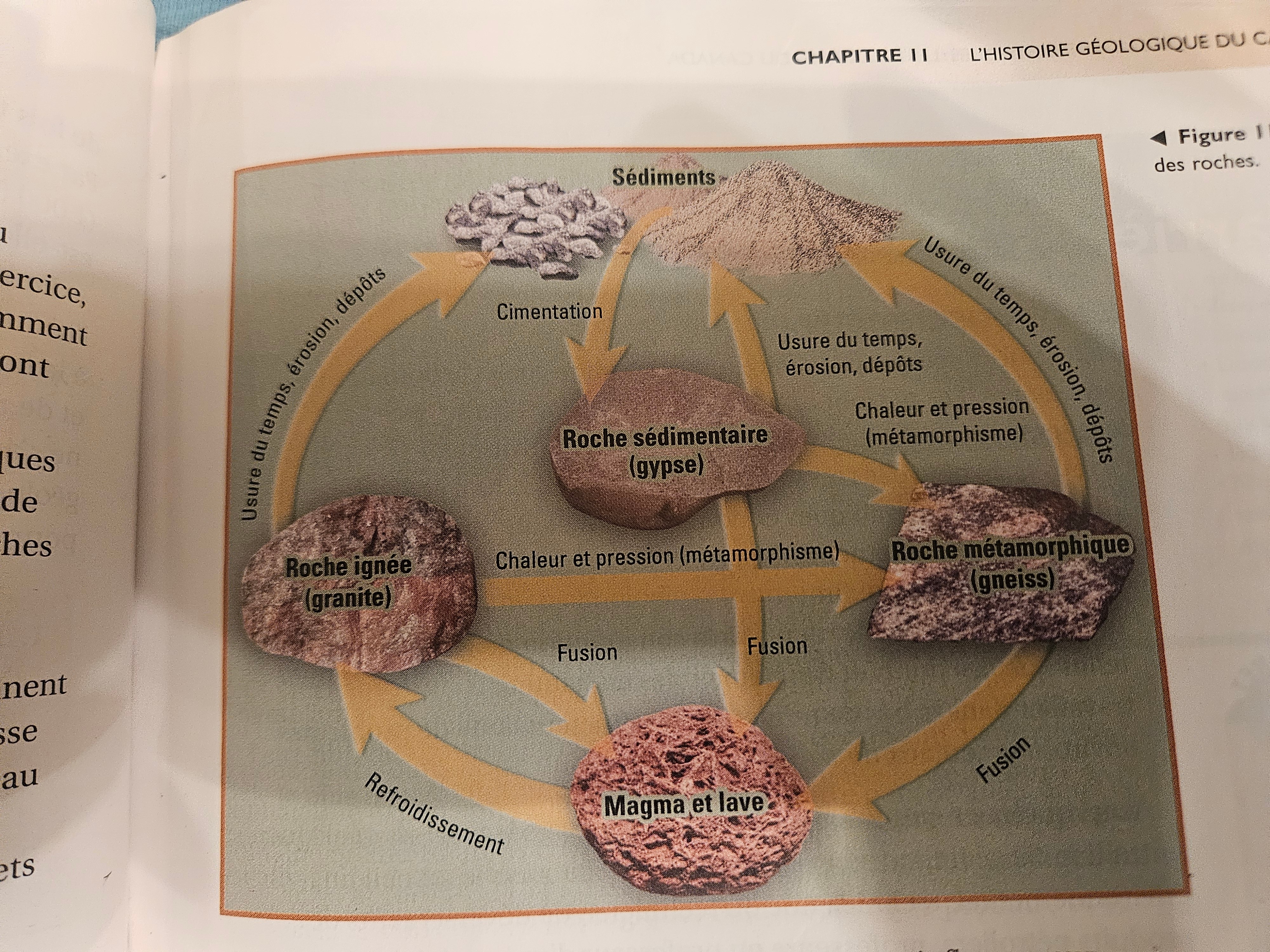 <p>Roches ignees aux sediments, sediments aux roches sedimentaires, sedimentaires a methamorphques. Aussi, les roches ignees peut tranforme aux metamorhipues, et les metamorhipus peut transforme aux sediments</p>
