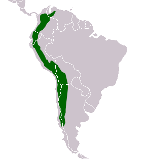 <p></p>
