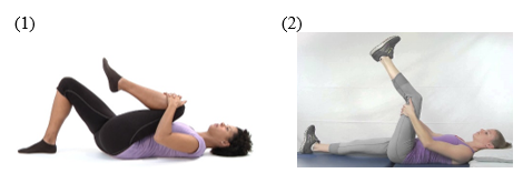 <p>Your patient is lying supine and flexes her knee and hip bringing her knee to her&nbsp;chest (1).&nbsp; She then extends her knee and again tries to flex her hip as far as possible but cannot flex her hip as far (2).&nbsp; In this case, the hamstrings are experiencing:</p>