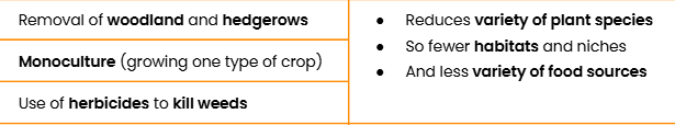 <p>Use<span style="background-color: unset; line-height: unset; font-size: unset; color: transparent;"> </span>of<span style="background-color: unset; line-height: unset; font-size: unset; color: transparent;"> </span><span style="background-color: unset; line-height: 1.22; font-size: unset; color: unset;">pesticides</span><span style="background-color: unset; line-height: unset; font-size: unset; color: transparent;"> </span><span style="background-color: unset; line-height: unset; font-size: unset; color: unset;">to</span><span style="background-color: unset; line-height: unset; font-size: unset; color: transparent;"> </span><span style="background-color: unset; line-height: unset; font-size: unset; color: unset;">kill</span><span style="background-color: unset; line-height: unset; font-size: unset; color: transparent;"> </span><span style="background-color: unset; line-height: unset; font-size: unset; color: unset;">pests</span></p><ul><li><p>Predator<span style="background-color: unset; line-height: unset; font-size: unset; color: transparent;"> </span><span style="background-color: unset; line-height: 1.212; font-size: unset; color: unset;">population</span><span style="background-color: unset; line-height: unset; font-size: unset; color: transparent;"> </span><span style="background-color: unset; line-height: 1.212; font-size: unset; color: unset;">of</span><span style="background-color: unset; line-height: unset; font-size: unset; color: transparent;"> </span><span style="background-color: unset; line-height: 1.212; font-size: unset; color: unset;">pest</span><span style="background-color: unset; line-height: unset; font-size: unset; color: transparent;"> </span><span style="background-color: unset; line-height: 1.212; font-size: unset; color: unset;">decreases</span></p></li></ul><p></p>
