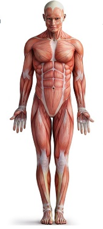 <p><strong>What do you call this picture? Explain.</strong></p>