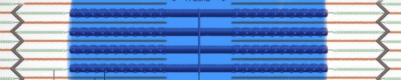 <p>length of thick filaments; overlapped by thin filaments</p>