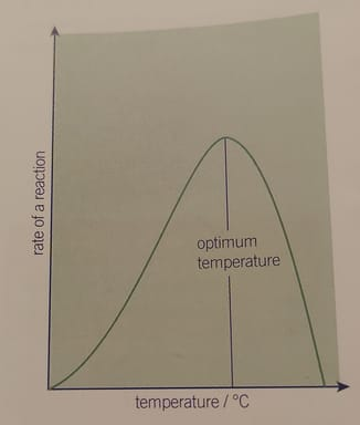<p>…</p>