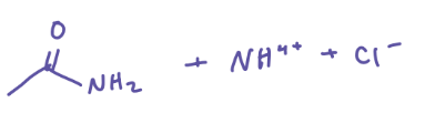 <p>Amide + NH4+ + Cl-</p>