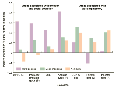 <p>Competition between emotional and cognitive systems in moral decisions</p>