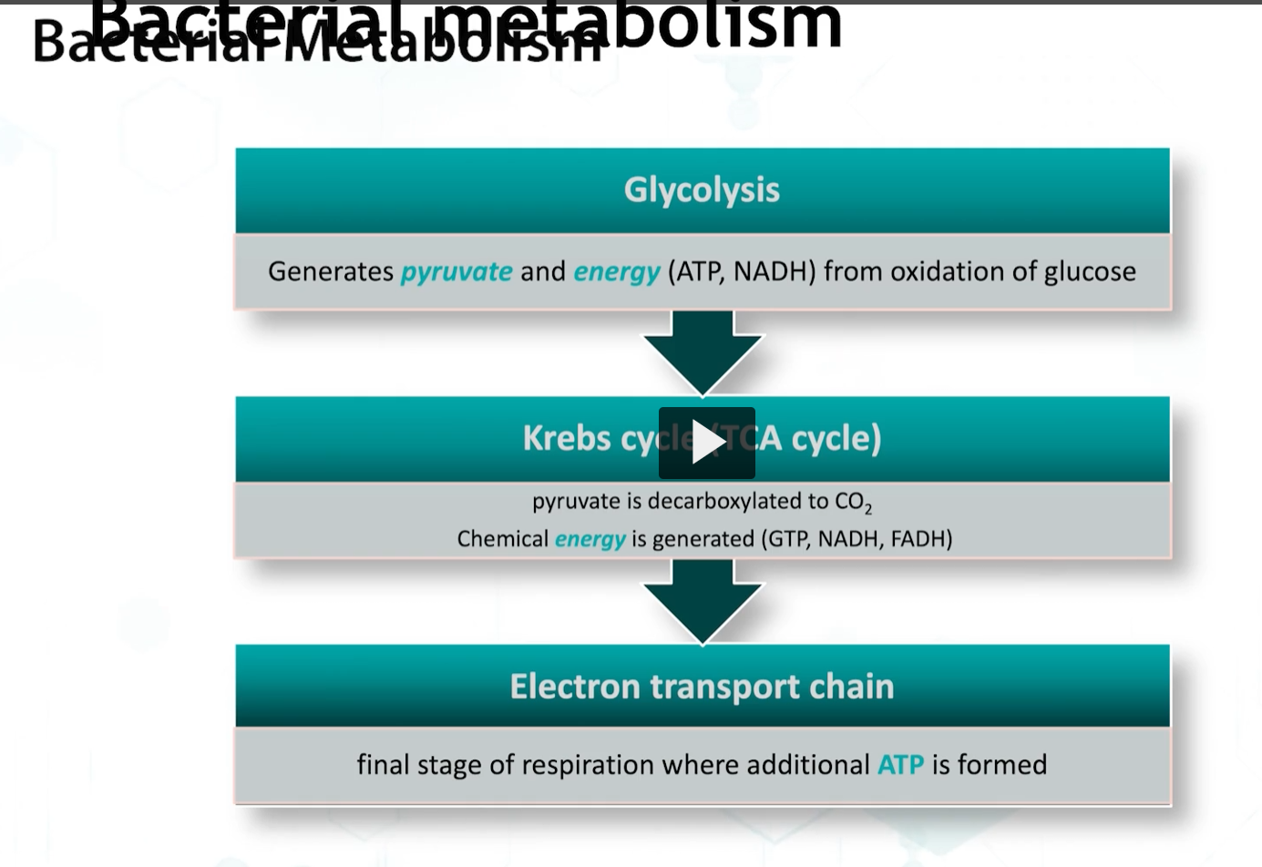 <p>During active transport, energy is used to move the substrate across the membrane. </p><p>One example of this will be <strong>lactose</strong>. </p><p>Energy can come from ATP hydrolysis, or the protonmotor force is used to <strong>alter the conformation</strong> of a <strong>protein carrier</strong>, and <strong>phosphorylate</strong> the substrate during <strong>transport. </strong></p>