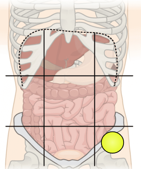 knowt flashcard image