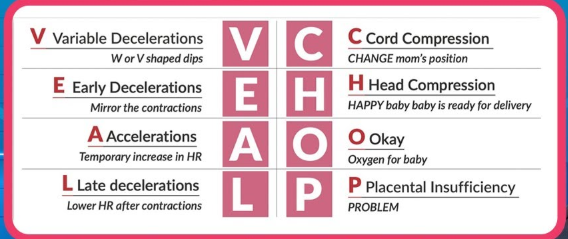 <p>veal chop mine</p><ul><li><p><strong>Variable </strong>deceleration = <strong>Cord </strong>compression → <strong>Move </strong>pt (left side; hands and knees)</p></li><li><p><strong>Early </strong>deceleration = <strong>Head </strong>compression→ <strong>Identify </strong>labor progression</p></li><li><p><strong>Acceleration </strong>= <strong>OKAY</strong>!!→ <strong>Nothing</strong></p></li><li><p><strong>Late </strong>deceleration = <strong>Placental </strong>insufficiency→ <strong>Emergent </strong>delivery!</p></li><li><p></p></li></ul><p></p>