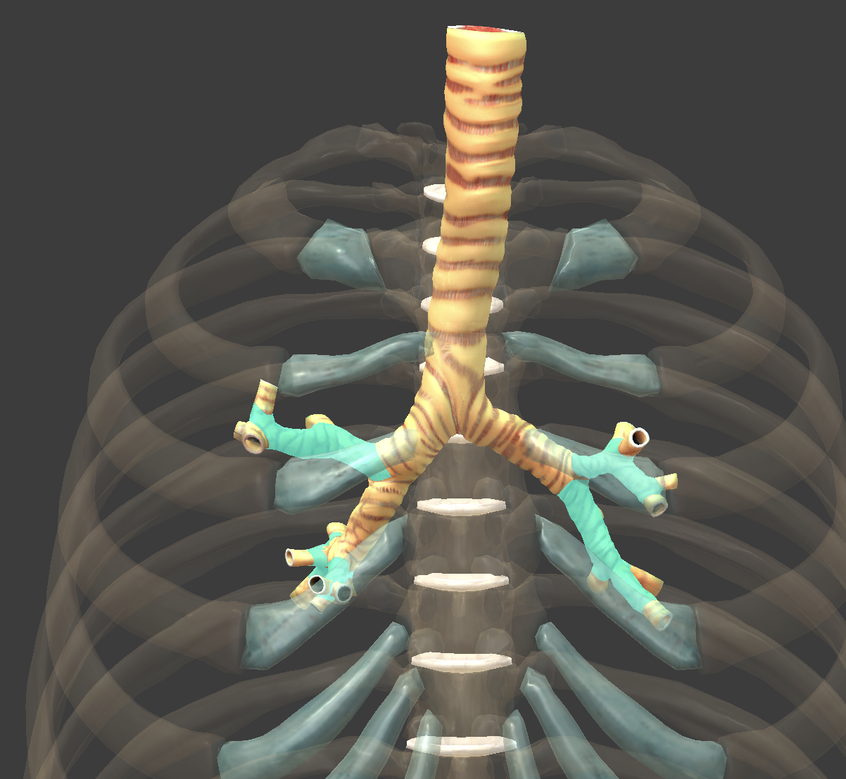 <p>What is this?</p>