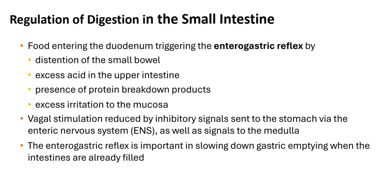 <p>intestine are already filled</p>