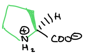 <p>Amino acid</p>