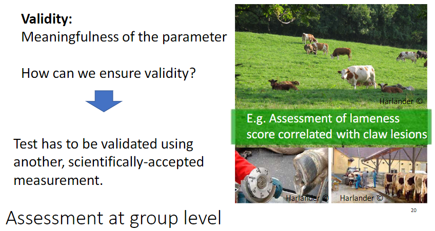 <p><strong>Definition</strong><br> <strong>Validity</strong> – meaningfulness of the <strong>parameter</strong></p><p><strong>Ensuring Validity</strong><br> Test must be validated using another <strong>scientifically accepted measurement</strong><br> Example: <strong>lameness score</strong> correlated with <strong>claw lesions</strong></p><p><strong>Application</strong><br> Can be assessed at the <strong>group level</strong></p>